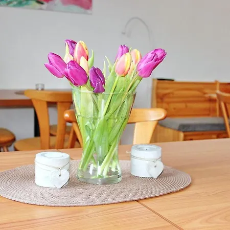 Guest house An Der Kamske, Dz 4